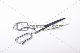 Tailor's scissors isolated