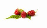 Raspberries with leaves on the white background