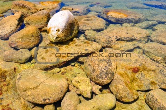 Rocks in tide pool