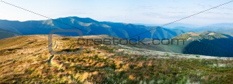 summer morning mountain panorama 