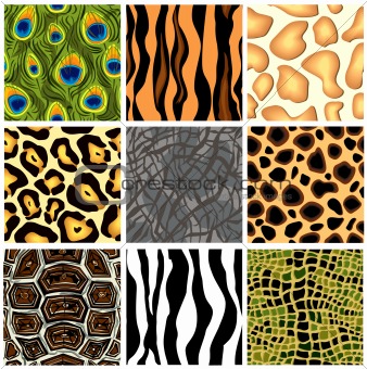 Collection seamless patterns animals. Vector