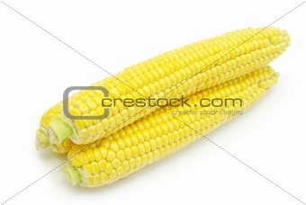  maize