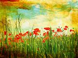 Grungy background with poppies