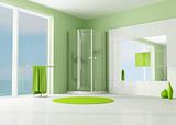 green bathroom with cabin shower