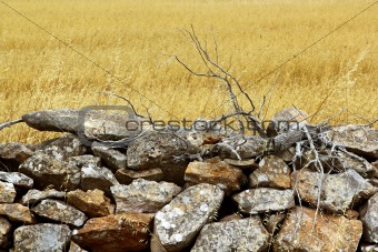 masonry stone wall golden summer field