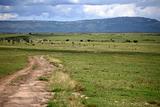 Maasai Mara Reserve - Kenya