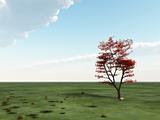 Single Tree on Horizon