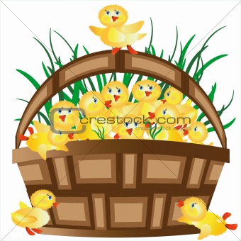 Basket with ducklings