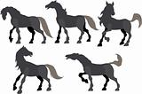 Five silhouette frolicking horses