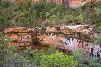 Beautiful landscape of the zion national park mountains