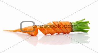 fresh carrot fruits with cut