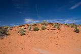 landscape view of the arizona desert in USA