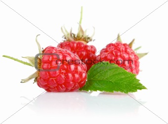 fresh raspberry fruits with green leaves
