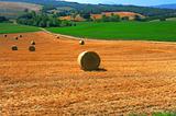 Toscana Landscape 