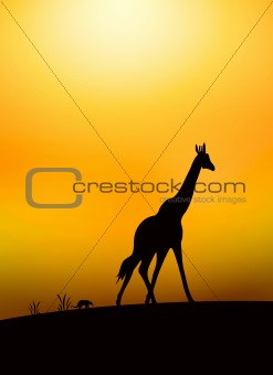 savanna illustration