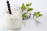 Yogurt with wild blueberries