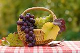Grapes in small basket