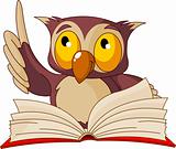 Wise owl  reading book