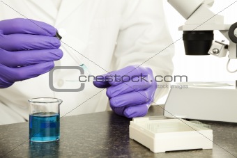 Scientist Hands Closeup