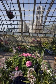 Lincoln Park Conservatory 