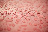 Abstract background - water drops on red plastic