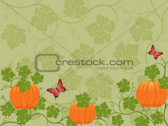 Floral background with a pumpkin. Vector illustration.