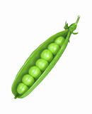 green pea isolated on white 