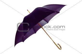 umbrella isolated on the white background