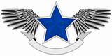 winged blue star logo