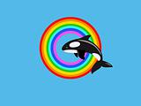 Killer whale jumping in rainbow ring