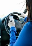 Young brunette woman using her cellphone while driving 