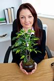 Pretty young businesswoman holding a plant sitting in her office