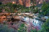Fall in Zion National Park