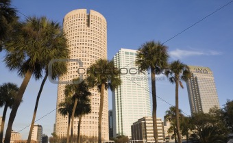 Palms and skyscrapers