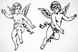 Vector Cupids