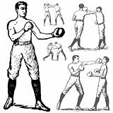 Vector Vintage Boxing Illustrations