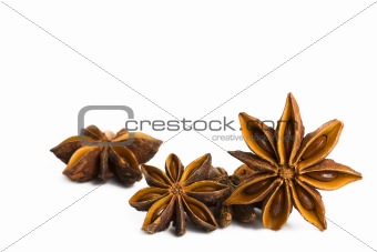 some star anise