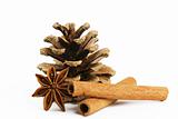 two cinnamon sticks one star anise and a conifer cone