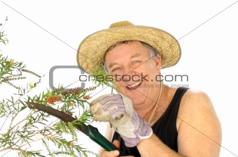 Sawing Gardener