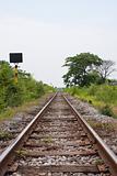 Railroad tracks into the vanishing point