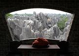 Stone forest national park in  China  