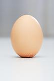 Egg of Columbus