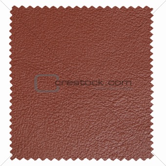 Leather sample
