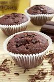 chocolate muffin sweet cake food