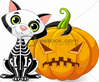 Black cat and the pumpkin