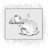 Sketch with snail