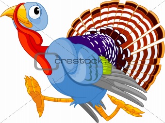 Running Cartoon Turkey