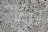 Deep cracks on surface of plaster