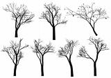 tree silhouettes, vector