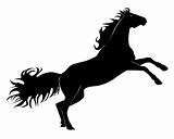 Black silhouette of a horse